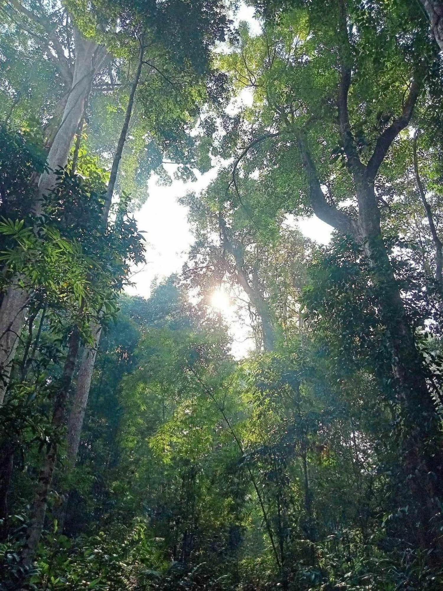 Bee Bee'S Chalets Home Stay And Trekking Banlung 外观 照片