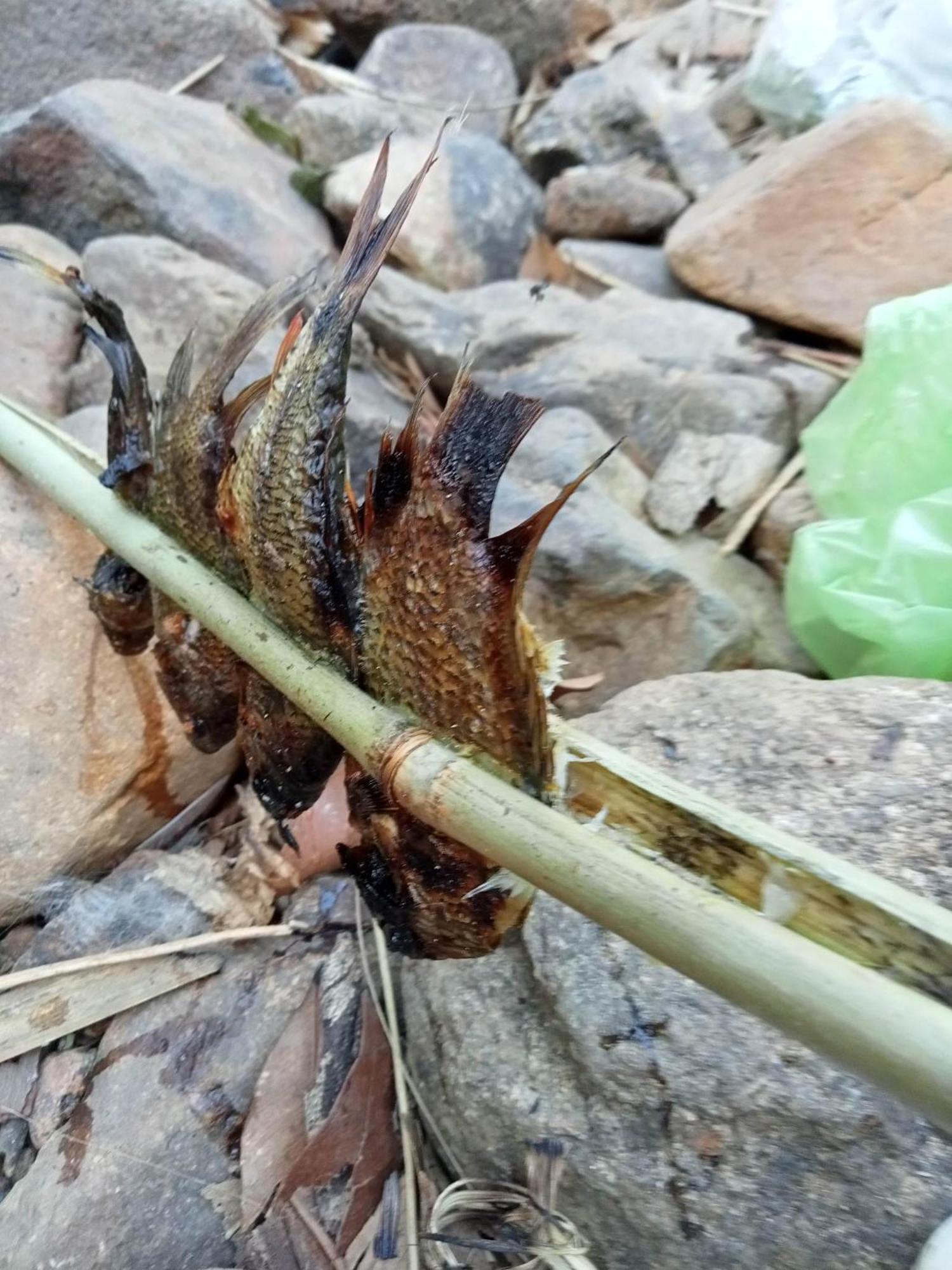 Bee Bee'S Chalets Home Stay And Trekking Banlung 外观 照片