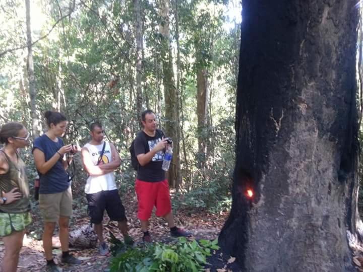 Bee Bee'S Chalets Home Stay And Trekking Banlung 外观 照片